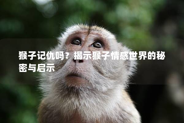 猴子記仇嗎？揭示猴子情感世界的秘密與啟示